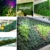 Mô phỏng tường phụ kiện cây xanh phụ kiện tường cây cỏ Ba Tư treo tường trong nhà lưới đỏ nền tường trang trí xanh - Hoa nhân tạo / Cây / Trái cây
