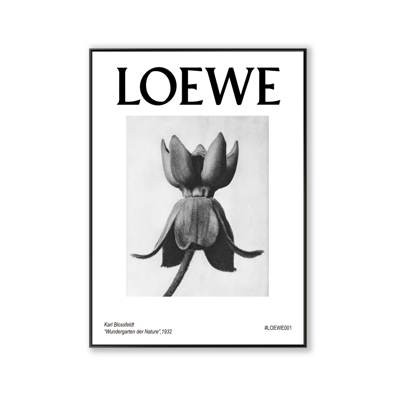 ELOEWE-2ins Decorative painting Northern Europe Drawing room restaurant couture Floor painting Porch bedroom Minority Hang a picture