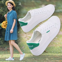 Kéo lại giày nữ giày trắng nữ 2019 Giày đế bằng hoang dã đế bằng mới - Plimsolls giầy lv nữ