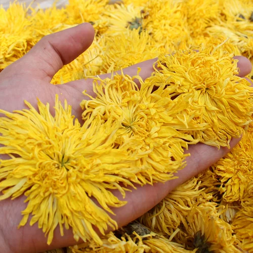 Anhui Huangshan Boutique Golden Imperor Chrysanthemum huangju gongju da ji Цветочный официальный флагманский магазин подлинный мастер