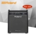 Trống Roland Roland10 trống điện tử trống jazz tần số đầy đủ loa chuyên nghiệp chất lượng âm thanh trống điện chính hãng - Loa loa loa xboom go Loa loa