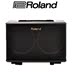 Loa chính hãng Roland Roland AC33 AC40 AC60 RW Loa Guitar Acoustic - Loa loa loa altec lansing Loa loa