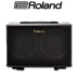 Loa chính hãng Roland Roland AC33 AC40 AC60 RW Loa Guitar Acoustic - Loa loa loa jbl clip 3 Loa loa