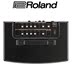 Loa chính hãng Roland Roland AC33 AC40 AC60 RW Loa Guitar Acoustic - Loa loa loa altec lansing Loa loa