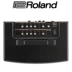 Loa chính hãng Roland Roland AC33 AC40 AC60 RW Loa Guitar Acoustic - Loa loa