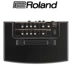 Loa chính hãng Roland Roland AC33 AC40 AC60 RW Loa Guitar Acoustic - Loa loa loa jbl clip 3 Loa loa