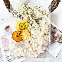 Белый департамент сухой цветочный человек Tianxing