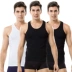 3 cái Cat Men Men 100% Cotton Vest Mùa hè Thin Slim Cotton Đen Trắng Tay áo - Áo vest Áo vest