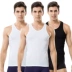 3 cái Cat Men Men 100% Cotton Vest Mùa hè Thin Slim Cotton Đen Trắng Tay áo - Áo vest Áo vest