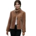 Cừu cắt phụ nữ áo khoác lông mỏng cổ áo cổ áo lông mùa thu và mùa đông ngắn phụ nữ giải phóng mặt bằng bán chống mùa đặc biệt 18 mới Faux Fur