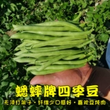 Семена бобов Four Seasons Daquan Raptar дает фермеру Farmer Four Seasons Spring, Salm -Autumn и Winter Entable Seeds Potana