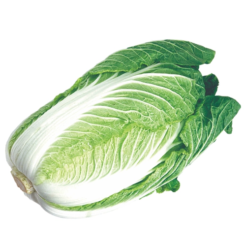 Qiangchun Первый обратный сезон, китайские семена капусты, китайские семена капусты 孑 Huangxin Chunxin Hezhi Yuan Core