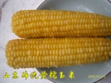 Huang Nuo Bai Nuo Золотые золотые семена