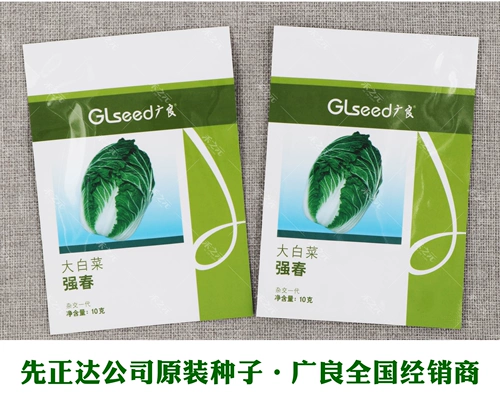 Qiangchun Первый обратный сезон, китайские семена капусты, китайские семена капусты 孑 Huangxin Chunxin Hezhi Yuan Core