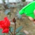 园艺 tưới nước bằng tay có thể phun nhỏ bình xịt tưới hoa phun bình xịt PE 450ml - Nguồn cung cấp vườn dụng cụ làm vườn chuyên nghiệp Nguồn cung cấp vườn