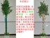 Dưới ống nước trang trí gói ống sưởi ấm ống trang trí hoa mây tre mô phỏng nhựa giả tre - Hoa nhân tạo / Cây / Trái cây Hoa nhân tạo / Cây / Trái cây