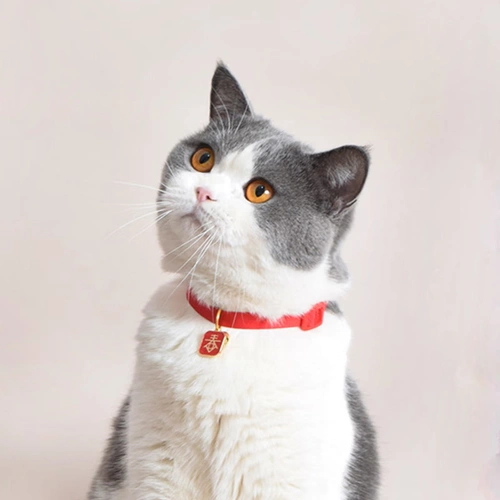 Колокольчик, регулируемый чокер, праздничнное ожерелье, милый аксессуар