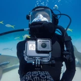 Морская птица подводной камеры аренда GoPro Hero8.