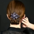 Kẹp tóc nữ Hàn Quốc mỏ vịt tiara tấm tóc phía sau đầu lớn đĩa tóc clip rhinestone kẹp tóc hoa đầu clip - Phụ kiện tóc