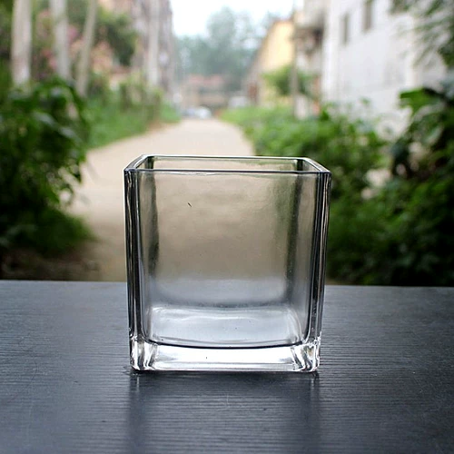 Квадратная гидропонная стеклянная посуда Прозрачный квадратный цилиндр зеленый укроп вода вода лилия медная монета