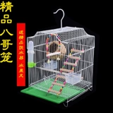 Бесплатная доставка, брат Bird Cage Tiger Pippi Peony Parrie