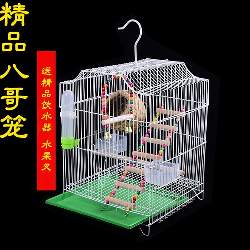 Бесплатная доставка, брат Bird Cage Tiger Pippi Peony Parrie