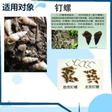 Гуанчжоу Джингбо Уничтожить улитку, убийственная нить нитя, убийство нити убийство улитки, переезжавшие на перемещение