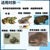 Подлинная лягушка Чжуан Чжунчжонга Многомерная аквакультура для мультивитаминных кормовых добавок Bullfrog Black Spot Frog