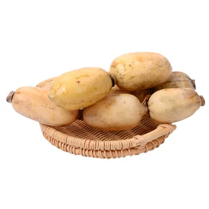 [【本地鲜】新垦莲藕 600g]