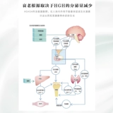 Купить 3 Получить 1 прямую почту.