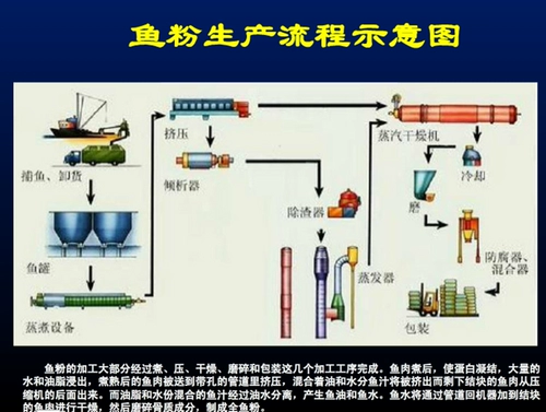 Натуральная высокая зона рыбь