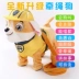 Trẻ em của đồ chơi điện chó đi bộ sẽ hát mô phỏng puppy plush Teddy dog ​​Wang Wang đội leash điều khiển từ xa dog