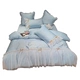 Công chúa gió ren 60 Ai Cập dài chủ yếu cotton bộ bốn mảnh Đơn giản nhỏ sao thêu cung giường - Bộ đồ giường bốn mảnh