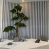 Mô phỏng cây thông chào đón cây thông Luo Hansong Zen cắm hoa lớn cành phòng khách bonsai hoa Trung Quốc trang trí - Hoa nhân tạo / Cây / Trái cây lá giả trang trí Hoa nhân tạo / Cây / Trái cây