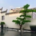 Mô phỏng cây thông chào đón cây thông Luo Hansong Zen cắm hoa lớn cành phòng khách bonsai hoa Trung Quốc trang trí - Hoa nhân tạo / Cây / Trái cây lá giả trang trí Hoa nhân tạo / Cây / Trái cây