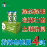 Облачные дрожжи, посадившие EM -бактерии, оригинальные виды первоначальных видов 200 миллиардов/граммов для культивирования 40 кот эм -бактерий