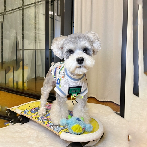 Tide, летний тонкий жилет, красивая спина, популярно в интернете