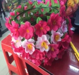 Новое персиковое расцвет