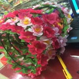 Новое персиковое расцвет