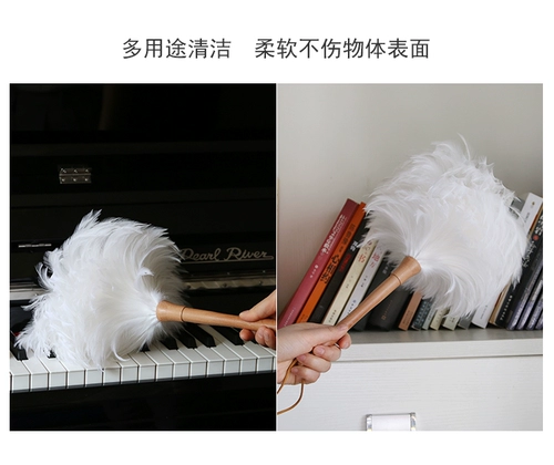 Rhabow Family Family Dust Dust Dust Dust Dust Crash rate White Pooster Decorative Pilezers