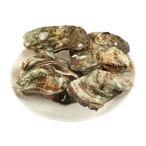 (Fresh) Rushan Oyster (1,5-2,0 TWO/DEAL) 6/Группа/Группа