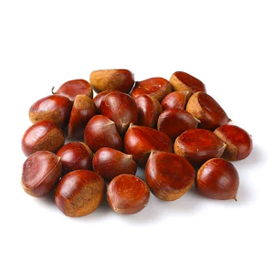 Каштан 500G