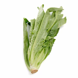 [油麦菜300g/份]