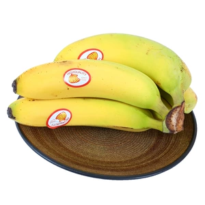 [菲律宾香蕉600g/份]