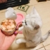 Mèo Le Shi Thái Lan nhập khẩu mèo mèo đóng hộp đồ ăn nhẹ cá ngừ thực phẩm ướt thịt tươi gói mèo vào mèo 85g * 6 lon - Đồ ăn nhẹ cho mèo