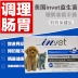 Med của invet dog probiotics pet cát Teddy cat với điều hòa dạ dày sản phẩm sức khỏe nôn tiêu chảy sữa chó con Cat / Dog Health bổ sung