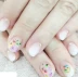 Dụng cụ làm móng Nail Snowdrops Hoa khô tự nhiên Hoa ép 12 Bộ màu - Công cụ Nail Công cụ Nail