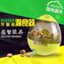 Dog Leaking Ball Dog Đồ chơi giáo dục Tumbler Dog Food Intelligence Cat Killing Time Pet Small Dog đồ chơi chó gặm xương Mèo / Chó Đồ chơi