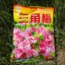 Bougainvillea mận mùa rose flower phân bón dinh dưỡng phân bón hoa màu xanh lá cây trồng nguồn cung cấp vườn nho phân bón đặc biệt Nguồn cung cấp vườn