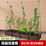 Виноградные рамы на открытом воздухе садовая посадка мобильные сельскохозяйственные помидоры поддержка стойки